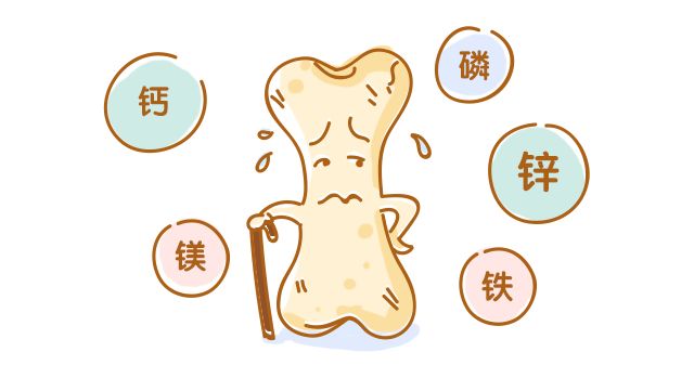 探究骨骼的秘密：从结构功能到健康守护