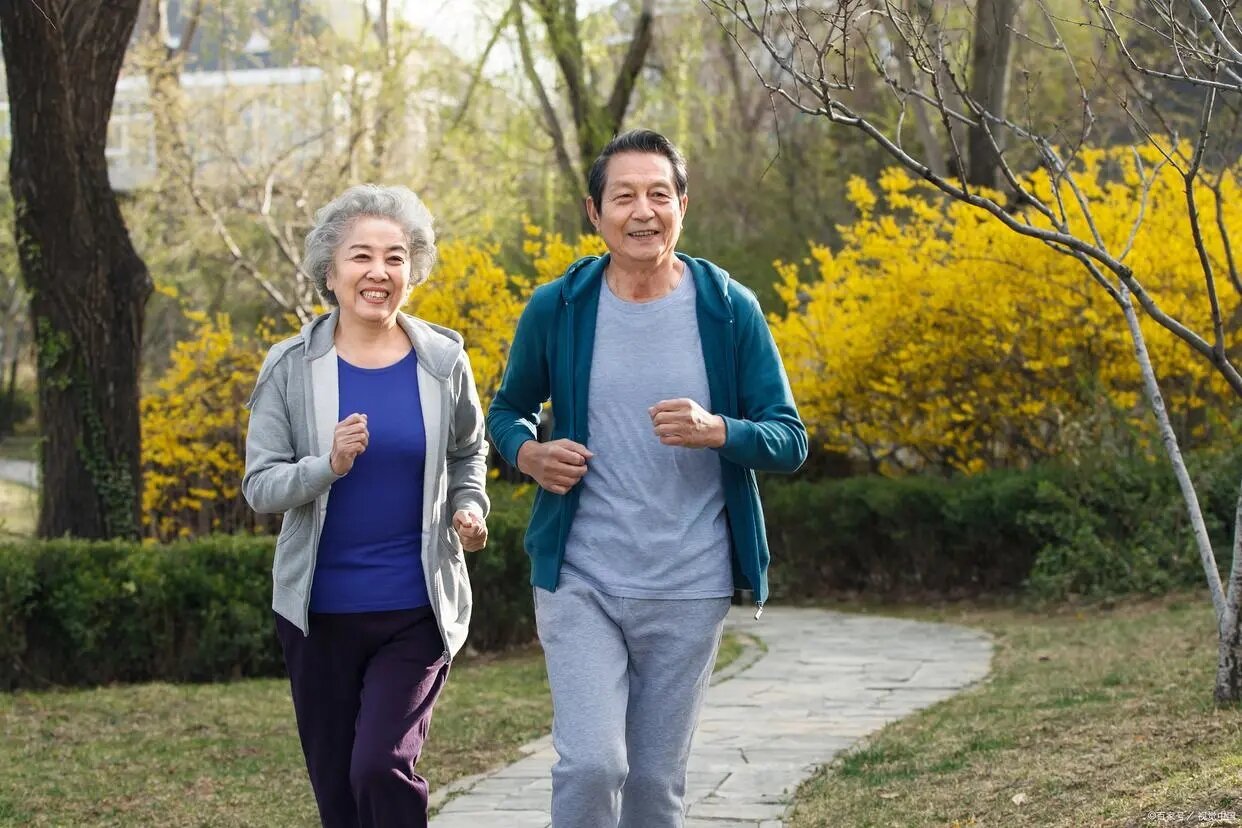 探究骨骼的秘密：从结构功能到健康守护